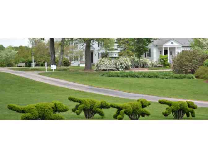 Ladew Topiary Gardens - Monkton, MD