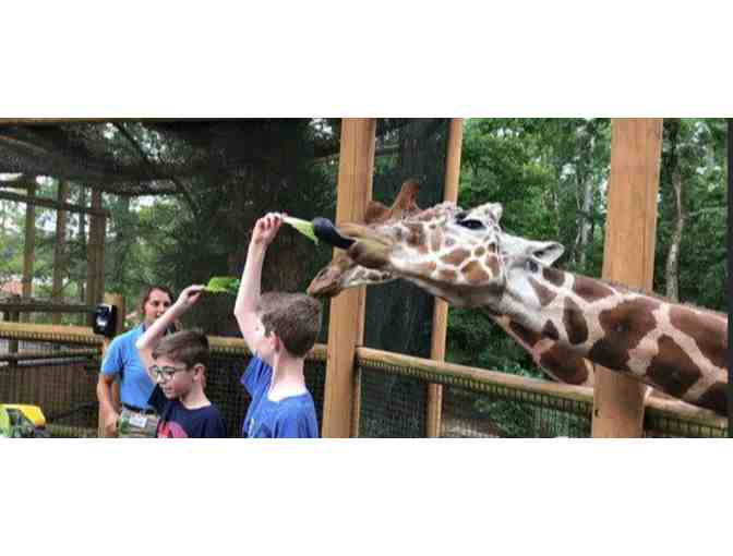 Birmingham Zoo - Birmingham, AL