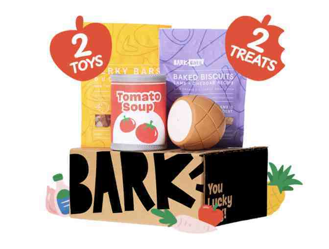 One (1) Month of Bark Box - Photo 1