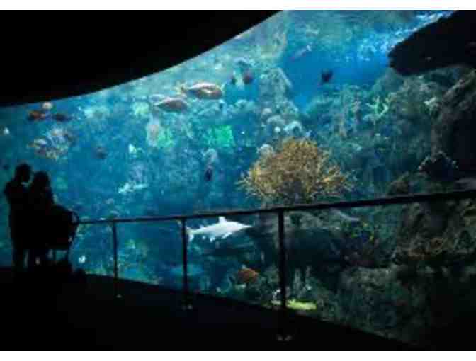 Two Tickets to Aquarium of the Pacific
