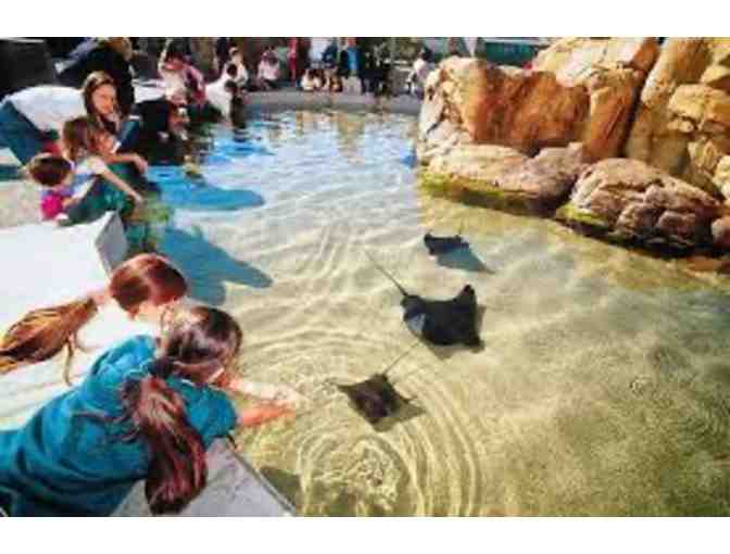 Two Tickets to Aquarium of the Pacific