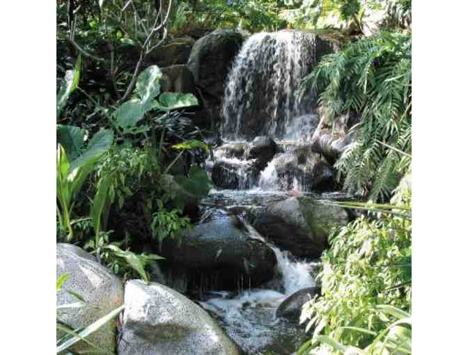 A Romantic Day in Pasadena
