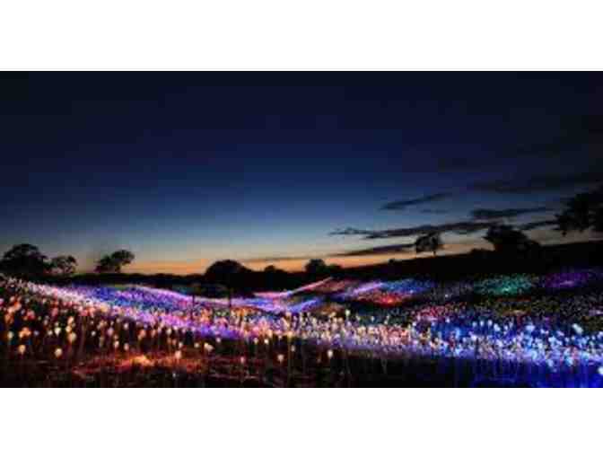Two Tickets to Bruce Munro: Light at Sensorio, Paso Robles