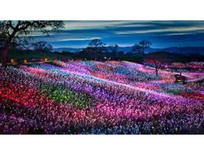 Bruce Munro: Light at Sensorio - Paso Robles, CA