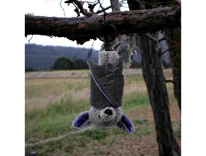 Batista the Bat - Photo 1