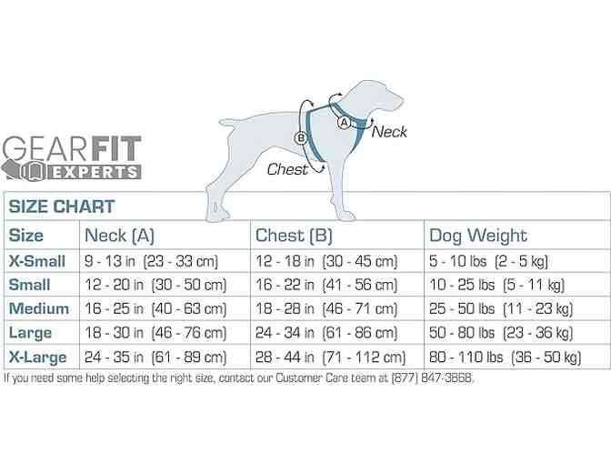 Kurgo Auto and Walking Harness Medium