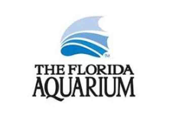 BAG for Kids! Plus MORE! Florida Aquarium! St Pete Museum of History! McDonalds! - Photo 1