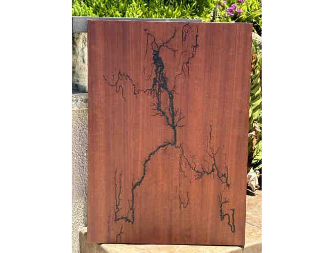 Lustrous Makore Wood Art Panel