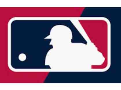 Former MLB/WHBB Players Autographed Baseball Bundle