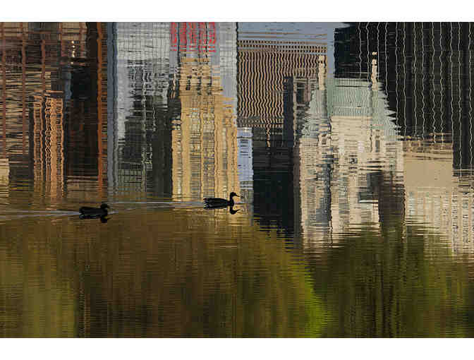 Mallards on the water at 59th Street by Francois Portmann - Photo 1