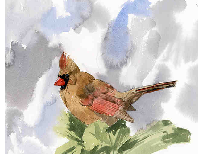 Watercolor painting of female cardinal by Sara Ann Cavic - Photo 1