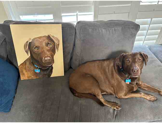 Pet Portrait by Pete